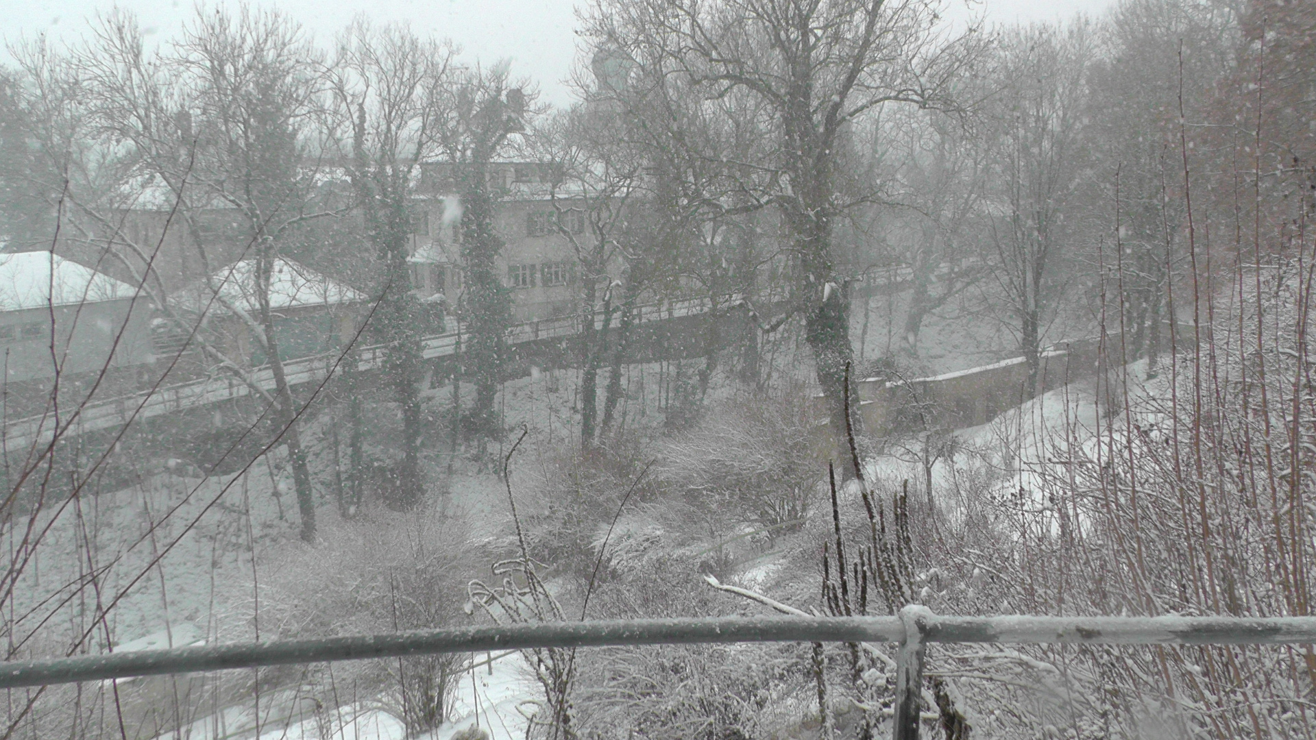 Blick auf die gegenüberliegende Seite des Hofgartens.